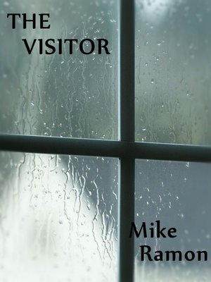 cover image of The Visitor
